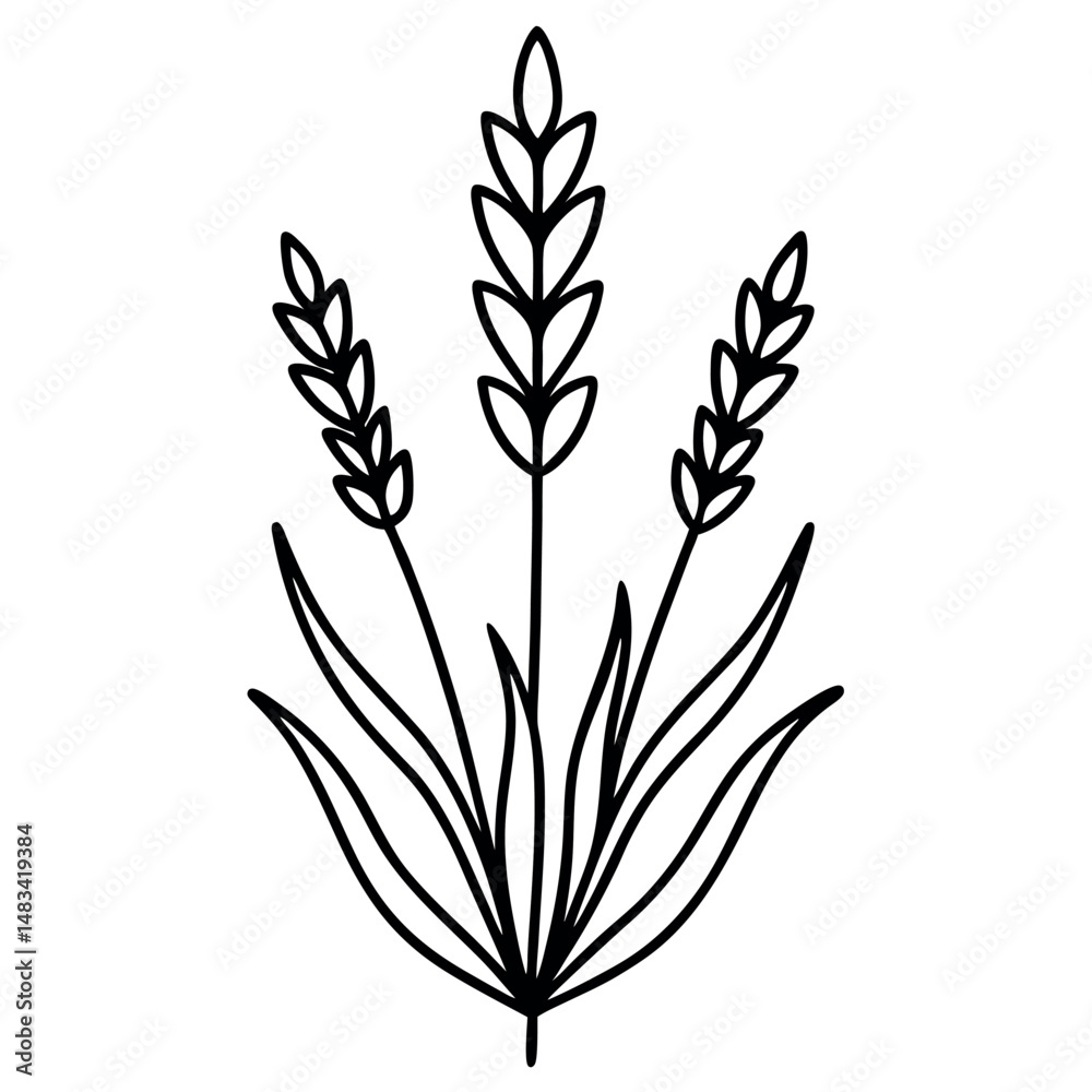 Fototapeta premium Lavender Thin Line Icon – Simple Nature-Inspired Vector Illustration