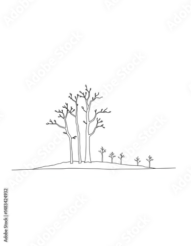 tree with roots