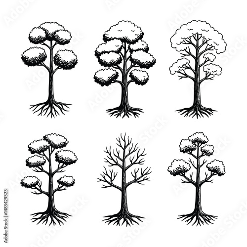 “Intricate Black Tree Silhouettes with Detailed Roots – Nature Vector Set”