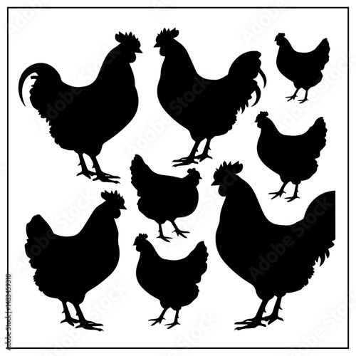 Silhouettes of various chickens, roosters, and chicks arranged in a grid pattern on a white background, showcasing different poses and feather shapes in a clean vector style.