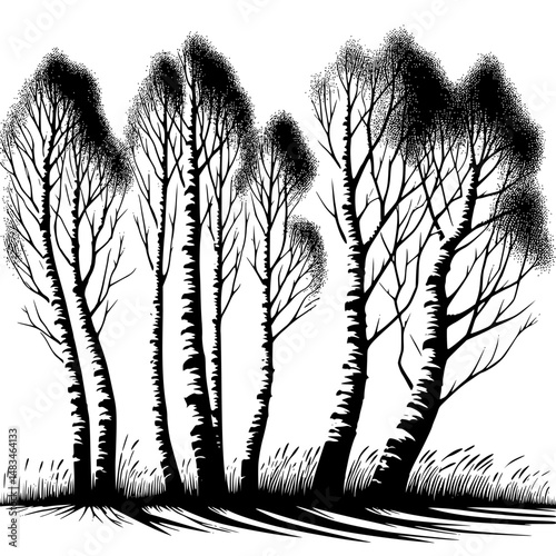 Black and White Birch Forest Illustration, Dotted Texture