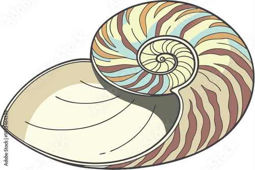 109 seashell, rainbow colors, iridescent, detailed, hyperrealistic, glossy, smooth surface, natural lighting, high contrast, studio shot, seamless background