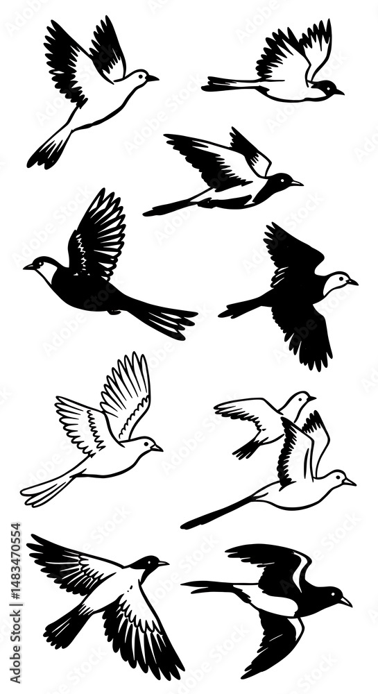 Obraz premium Flight Patterns in Ink AI Generated