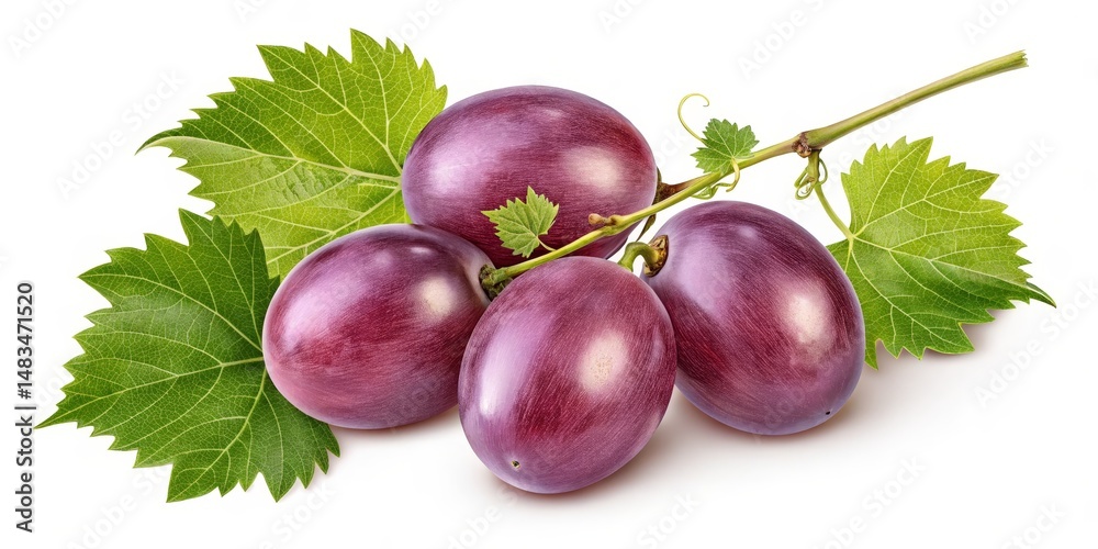Obraz premium Four Red Grapes on Vine with Leaves Close-up Studio Shot, Food Photography, Still Life, Fresh Produce, Fruit grapes, photography