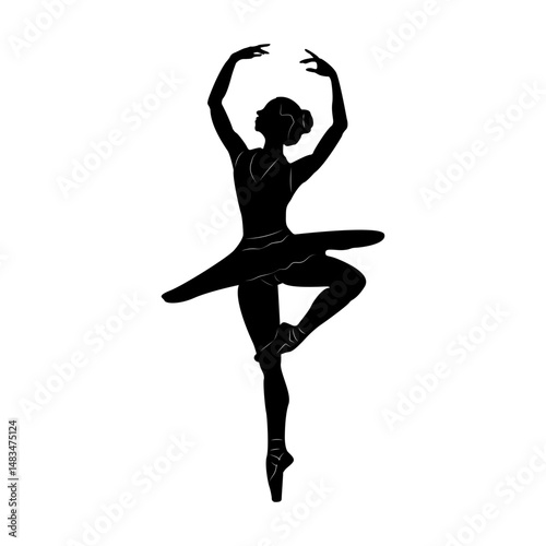 Ballerina is a professional dancer performing classical ballet. Theatrical productions, concert programs and ballet performances. Movement and plasticity. Art and grace.