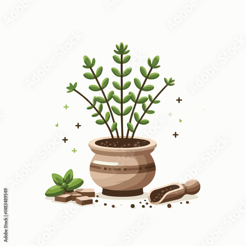 herb, leaf, thyme, food, green, healthy, ingredient, spice, background, herbal, fresh, plant, closeup, organic, aromatic, nature, isolated, macro, freshness, natural, white, cooking, medicine, herbs, 
