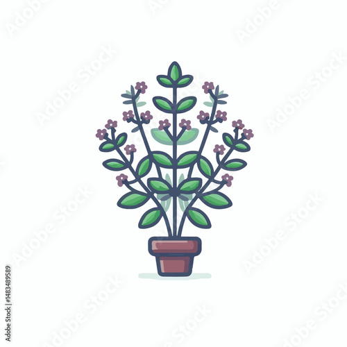herb, leaf, thyme, food, green, healthy, ingredient, spice, background, herbal, fresh, plant, closeup, organic, aromatic, nature, isolated, macro, freshness, natural, white, cooking, medicine, herbs, 