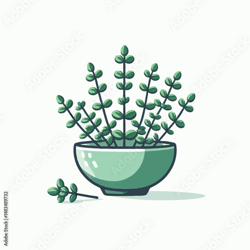 herb, leaf, thyme, food, green, healthy, ingredient, spice, background, herbal, fresh, plant, closeup, organic, aromatic, nature, isolated, macro, freshness, natural, white, cooking, medicine, herbs, 