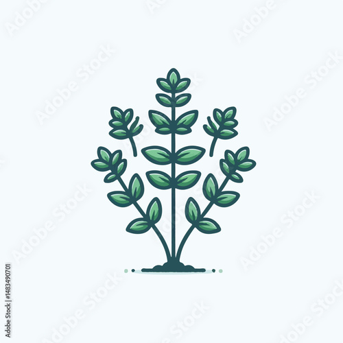 herb, leaf, thyme, food, green, healthy, ingredient, spice, background, herbal, fresh, plant, closeup, organic, aromatic, nature, isolated, macro, freshness, natural, white, cooking, medicine, herbs, 