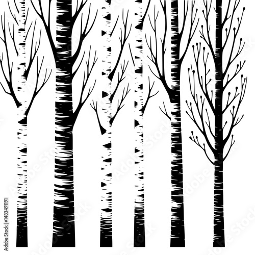 Black and White Birch Trees: Minimalist Forest Background