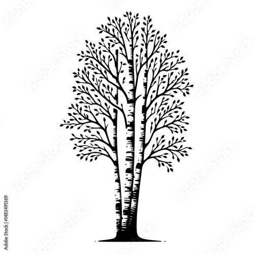 Graphic Silhouette Birch Tree Trio, Black and White, Minimalist Style