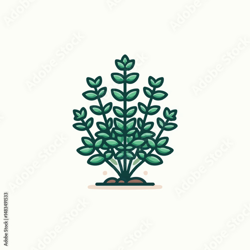 herb, leaf, thyme, food, green, healthy, ingredient, spice, background, herbal, fresh, plant, closeup, organic, aromatic, nature, isolated, macro, freshness, natural, white, cooking, medicine, herbs, 