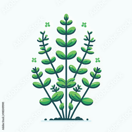 herb, leaf, thyme, food, green, healthy, ingredient, spice, background, herbal, fresh, plant, closeup, organic, aromatic, nature, isolated, macro, freshness, natural, white, cooking, medicine, herbs, 