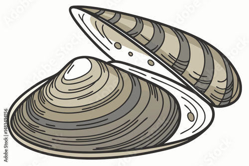 117 mussel, shell, freshwater, bivalve mollusk, close-up, detailed, photorealistic, high resolution