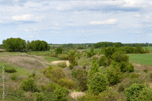 Wildlife of Central Russia - Trees and Shrubs