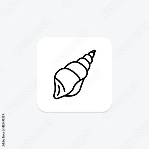 Seashell, vector, pixel perfect, illustrator file