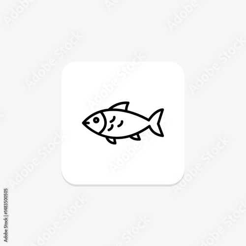 Silverside, vector, pixel perfect, illustrator file