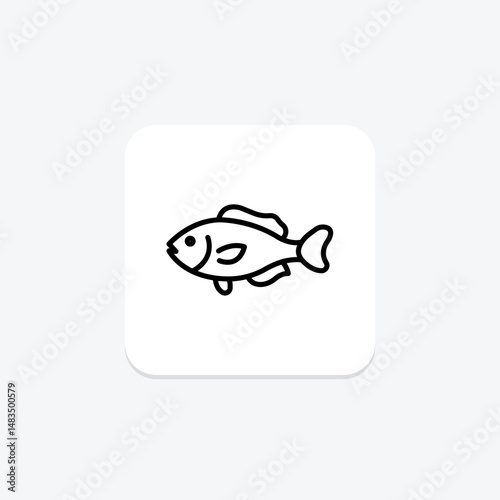 Wrasse, vector, pixel perfect, illustrator file