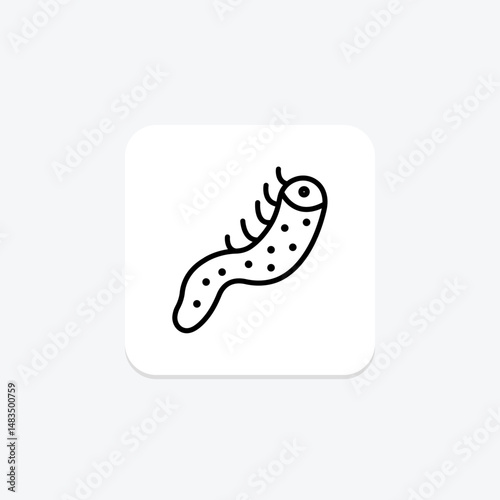 Sea Cucumber, vector, pixel perfect, illustrator file
