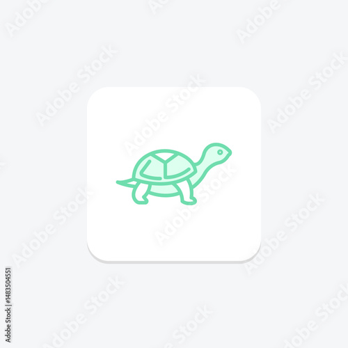 Turtle, vector, pixel perfect, illustrator file