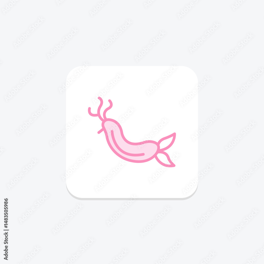 Fototapeta premium Nudibranch, vector, pixel perfect, illustrator file