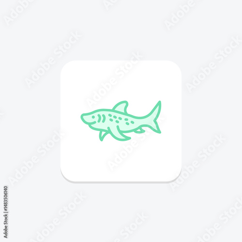 Zebra Shark, vector, pixel perfect, illustrator file