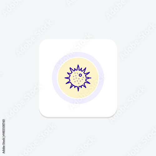 Sea Urchin, vector, pixel perfect, illustrator file