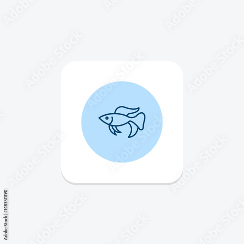 Betta Fish, vector, pixel perfect, illustrator file
