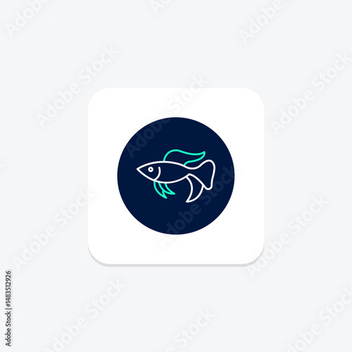 Betta Fish, vector, pixel perfect, illustrator file