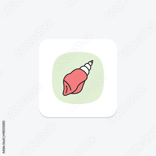 Seashell, vector, pixel perfect, illustrator file
