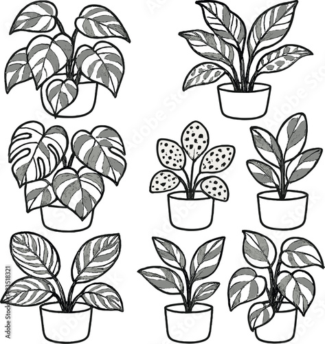Variegated houseplants icons set – outline, botanical and greenery design elements