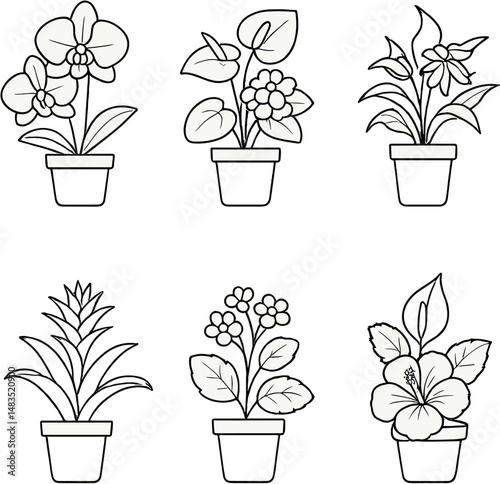 Houseplant icons set - linear, flowering and potted plant symbols for decor