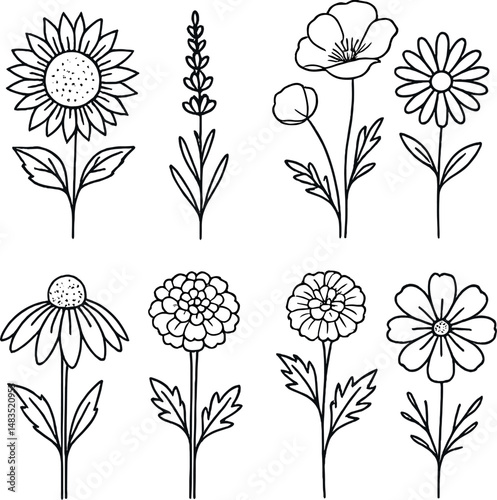 Linear summer flowers icons set – minimalist botanical and floral design
