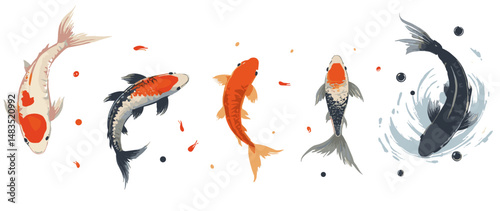 Sumi-e style koi fish illustration set with expressive brushwork, cherry blossom petals, and Zen-inspired Japanese ink art on white background (2)