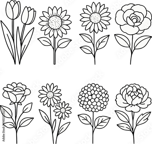 Seasonal floral icons set – outline, botanical designs for nature and flower themes
