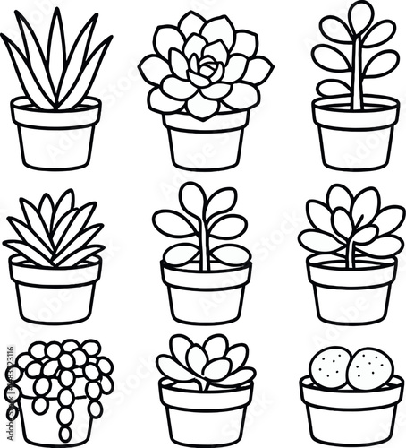 Succulent plant icons set – outline, nature and minimalist symbols for design