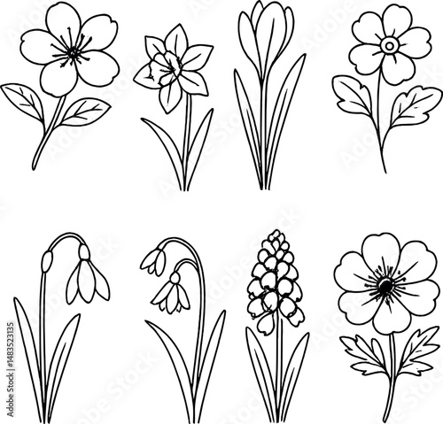 Spring flower icons set – outline, floral and nature symbols for design projects