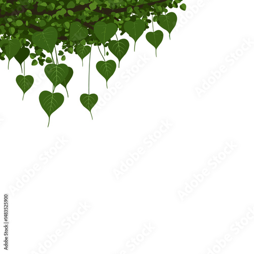Bodhi Tree Branch, Bo leaves , Sacred fig leaves Vector for Vesak Day – Sacred Buddhist Symbol Illustration