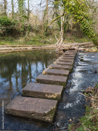 Oblong stepping stones with fallen tree obstruction.