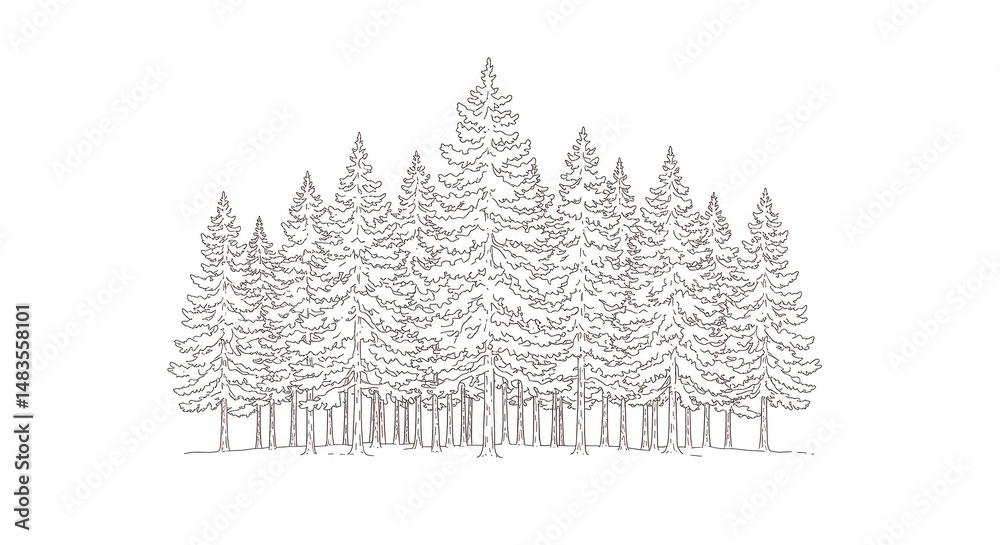 Fototapeta premium Simple pine tree forest illustration