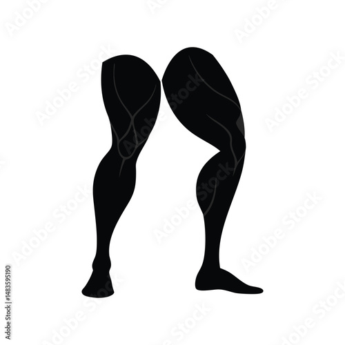 vector silhouette of a muscular lag lower part
