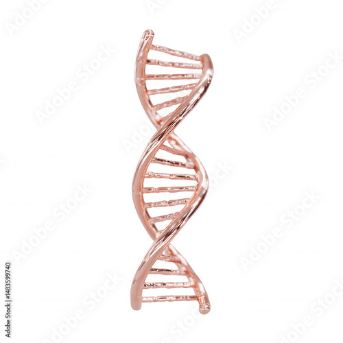 A beautifully rendered rose gold metallic DNA double helix structure is isolated against a stark white background symbolizing genetics and scientific research.