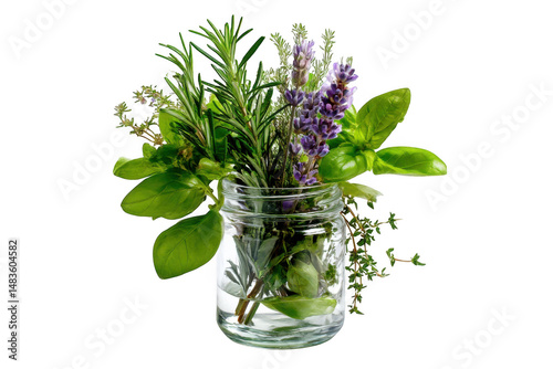 Culinary herbs in a glass jar isolated on transparent background