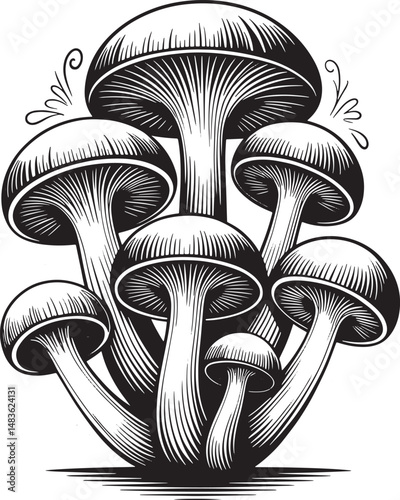 vector illustration of mushrooms