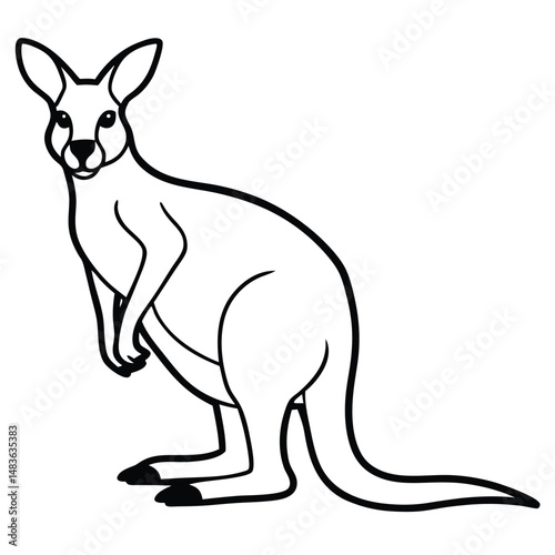 kangaroo vector illustration