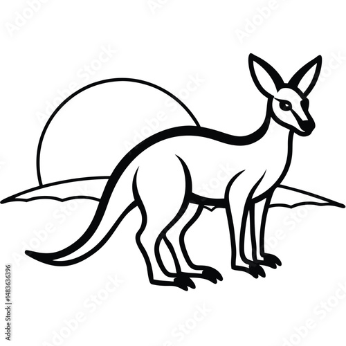 kangaroo vector illustration