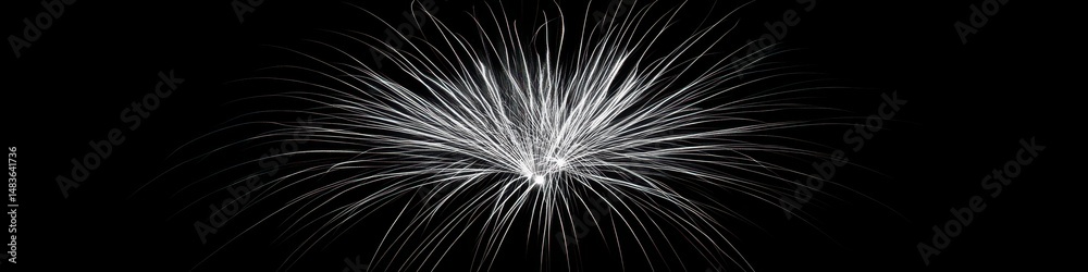 Obraz premium Vivid Fireworks Display Illuminating the Night Sky Against a Dark Backdrop for Celebratory Events