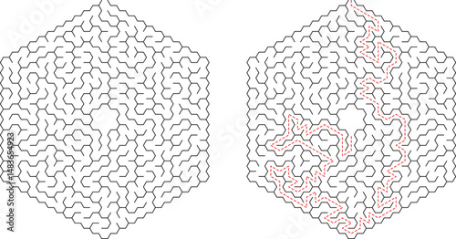 Hexagonal Maze Puzzle Solution, Paths, Labyrinth, Game, Challenge, Brain Teaser, Intricate Design, C