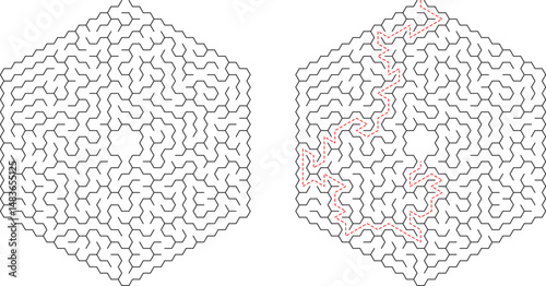 Hexagonal Maze Puzzle Solution Shown, Complex Paths, Brain Teaser