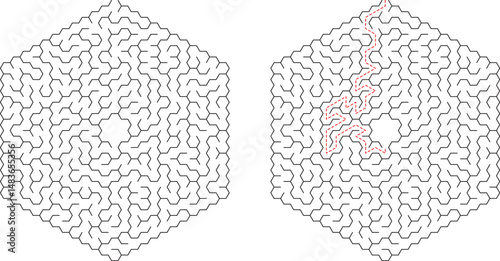 Hexagonal Maze Puzzle Solution Pathfinding Game Logic Design